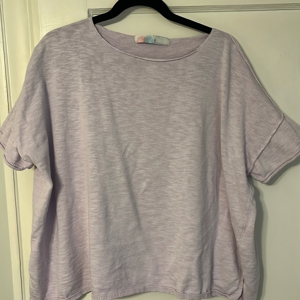 Free People Beach Winnie Sweater Tee